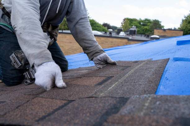 Best Residential Roofing Contractor  in Balm, FL