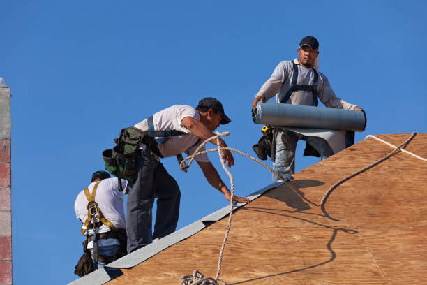 Roof Repair Estimates in Balm, FL